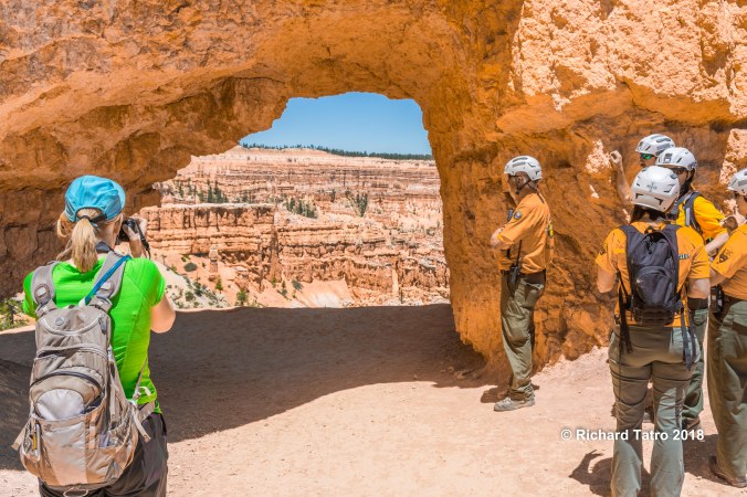 Search &amp; Rescue-1-2