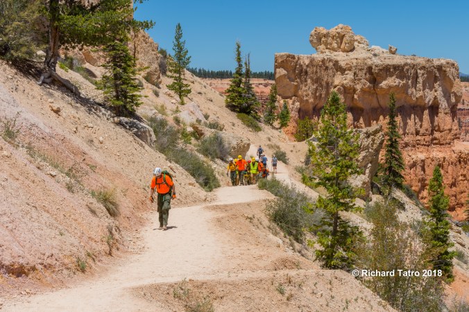 Search &amp; Rescue-1-3