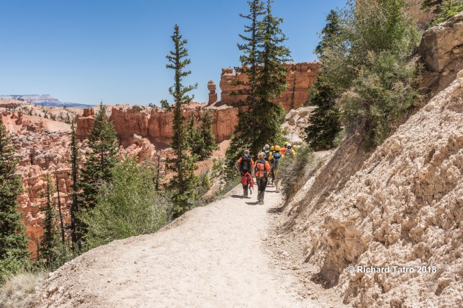 Search &amp; Rescue-1-4