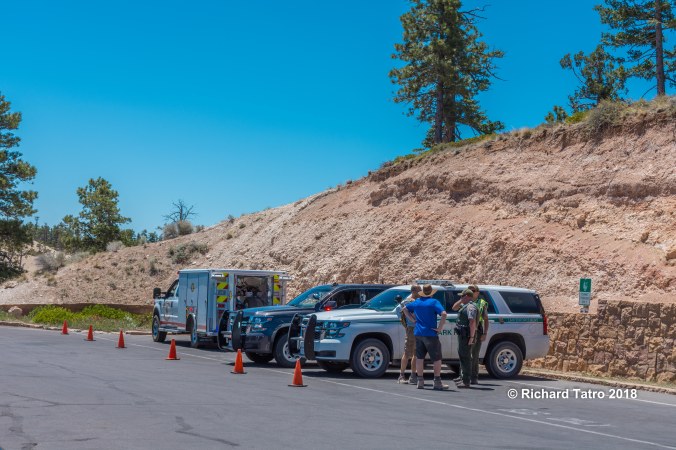 Search &amp; Rescue-1