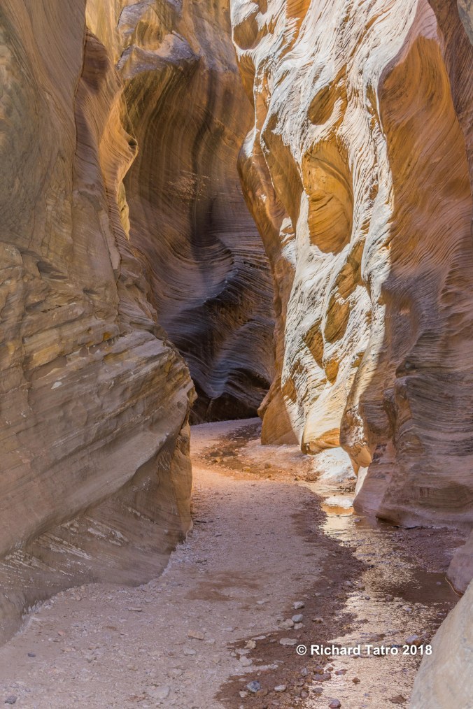 Willis Creek-1-7