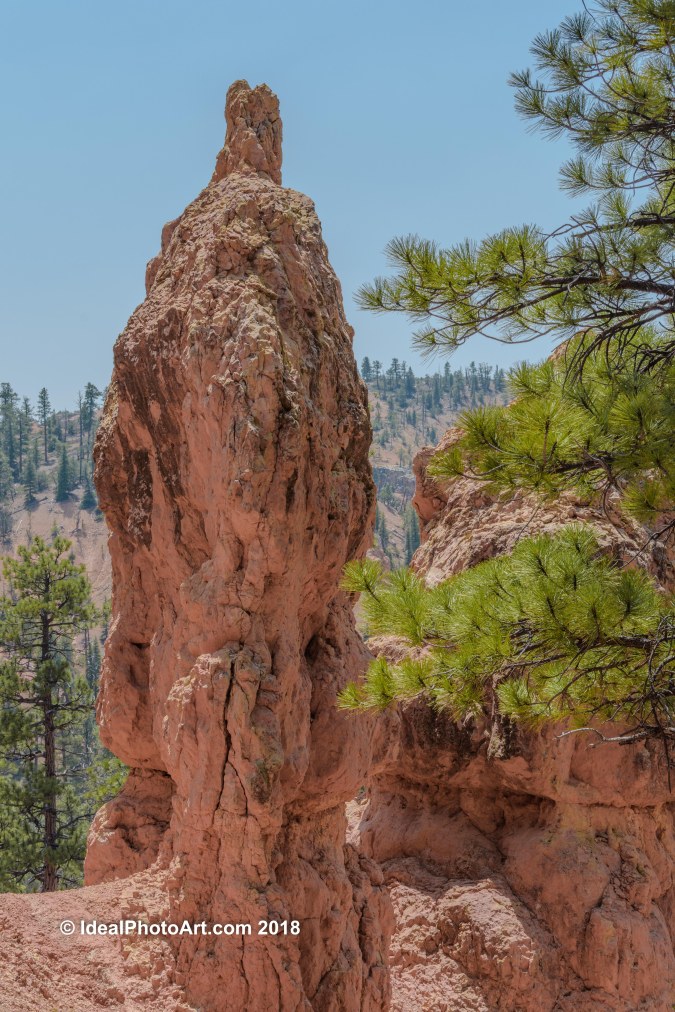 Red Rock Canyon Guard-1