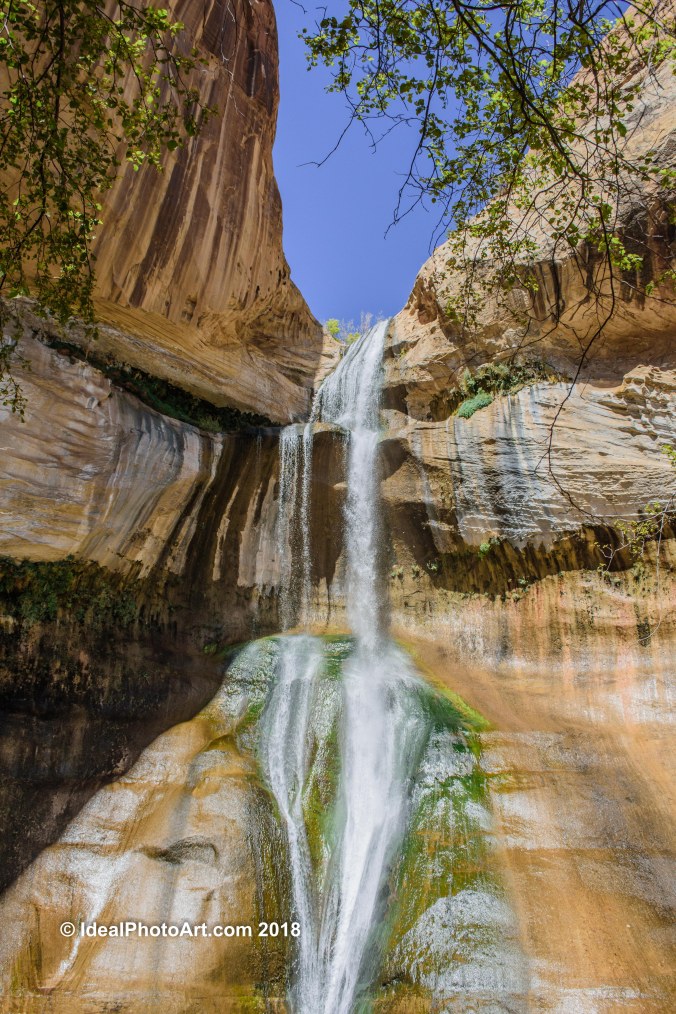 Lower Calf creek Falls