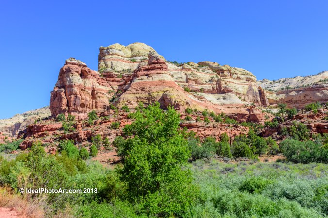 View from Calf Creek Falls Trail