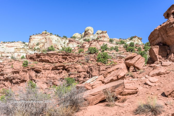 Hiking Calf Creek Falls Trail.