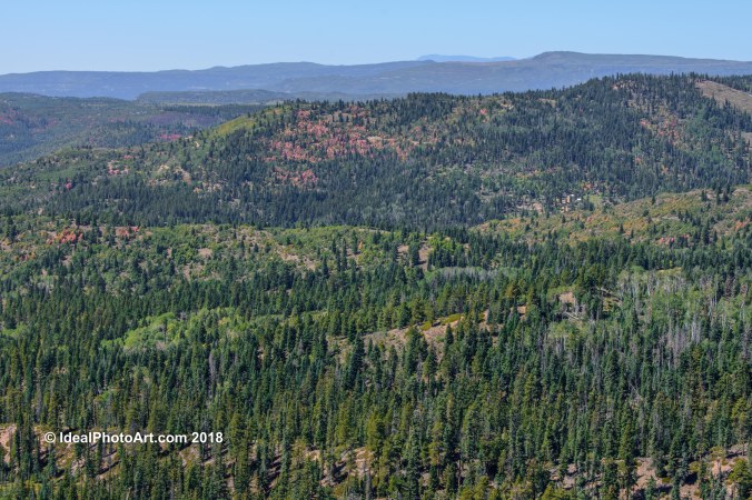 Hiking Cascade Falls Trail.