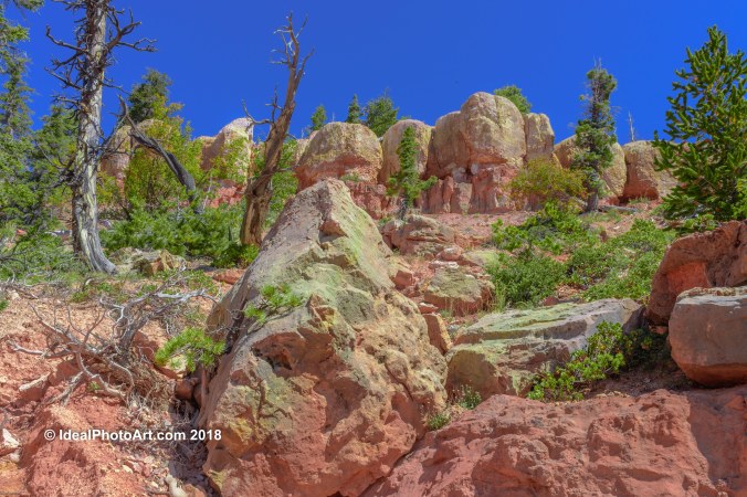 Hiking Cascade Falls Trail.