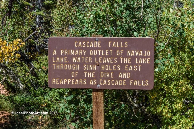Hiking Cascade Falls Trail.