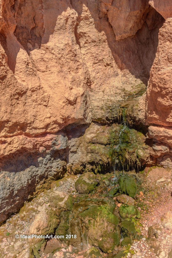 Hiking Cascade Falls Trail.