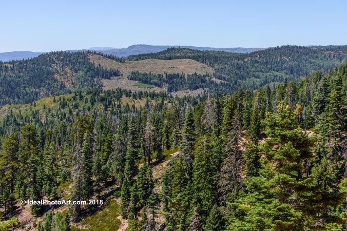 Hiking Cascade Falls Trail.