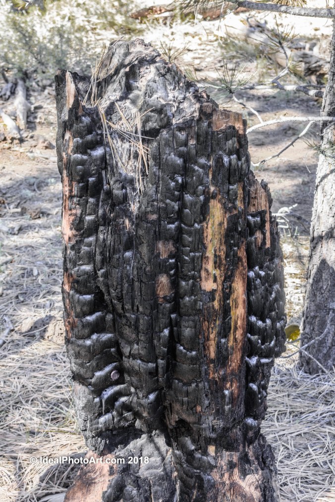 Duck Creek Mammoth Caves-3