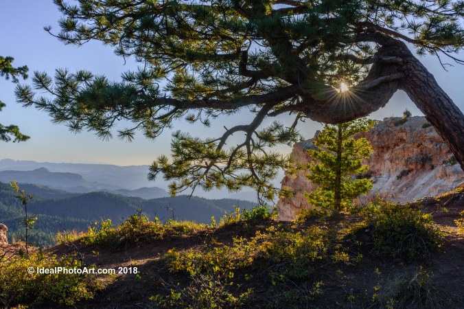 View from Strawberry Point Duck Creek Utah.