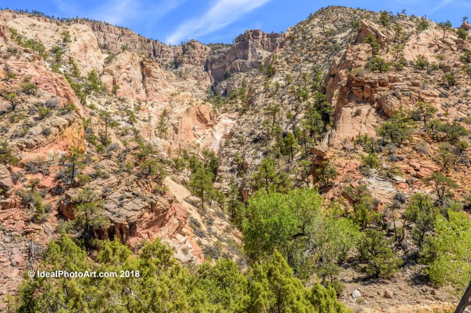 Scenery from Hell's Back Bone.