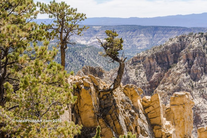 View from Hell's Back Bone Bridge.