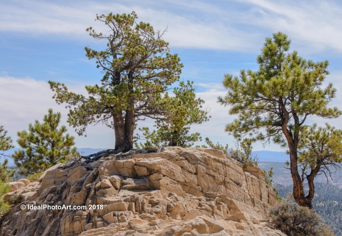 View from Hell's BackBone Bridge.