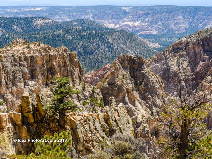 View from Hell's BackBone Bridge.