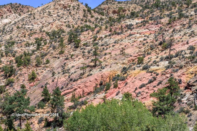 Scenery from Hell's Back Bone.