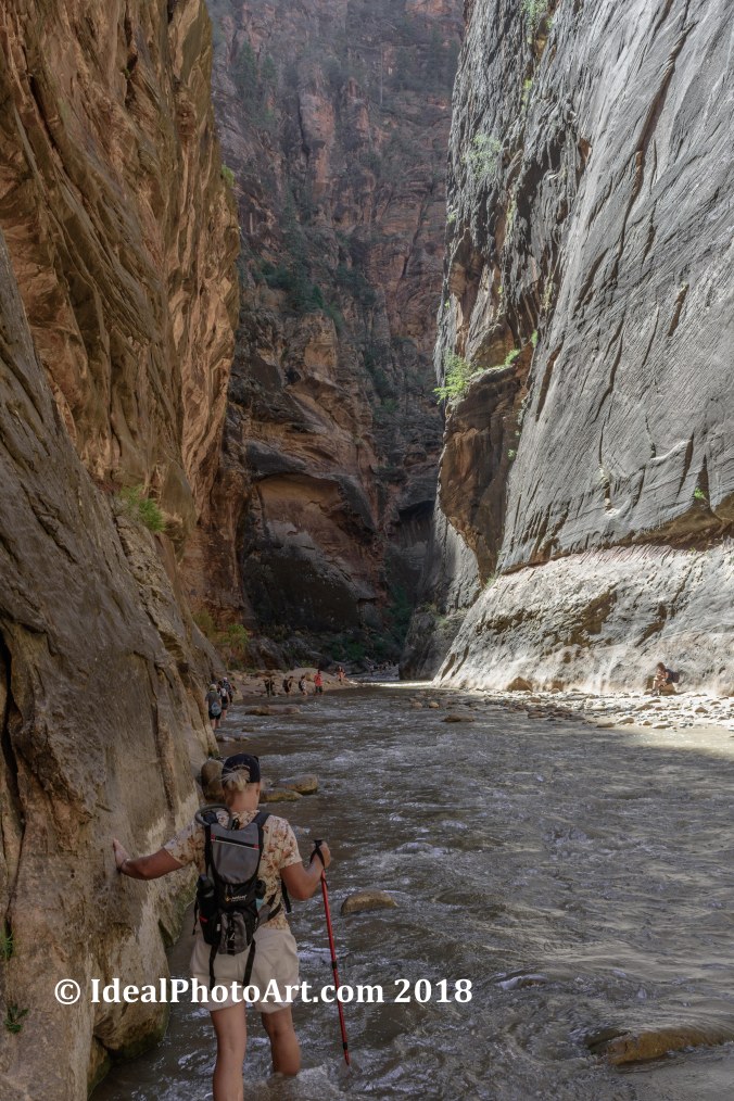 Hiking in the Virgin River.