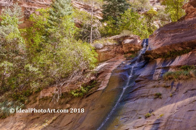 The Narrows Zion National Park-1-3