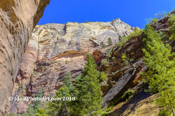 Virgin River Canyon.