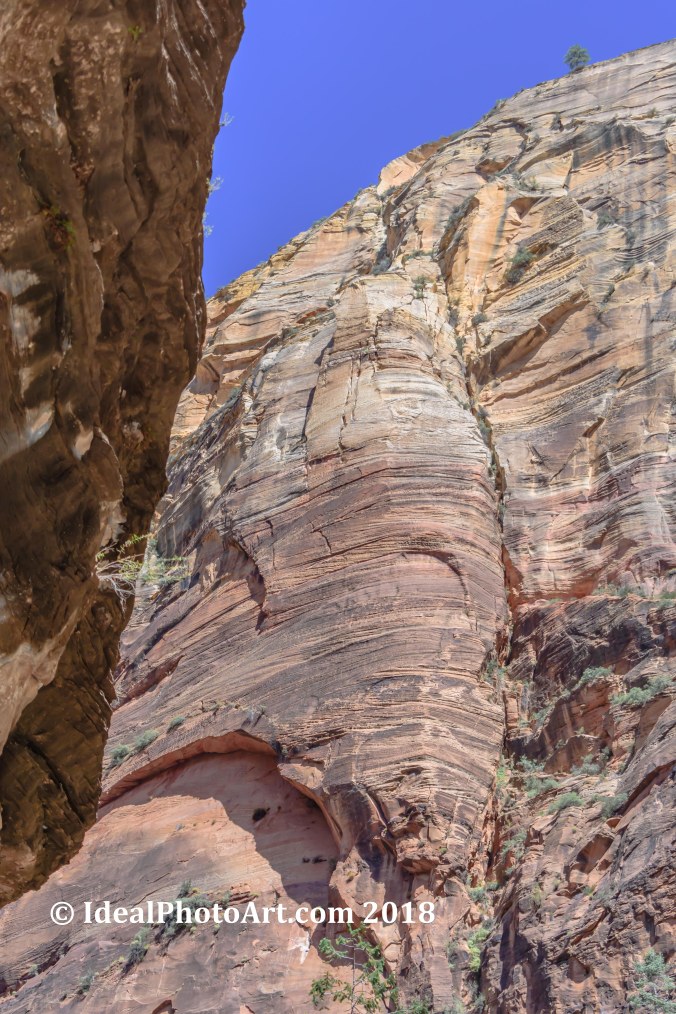 Virgin River Canyon.