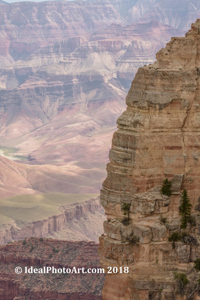 The edge of Angels Window with the Grand Canyon in the backgroun
