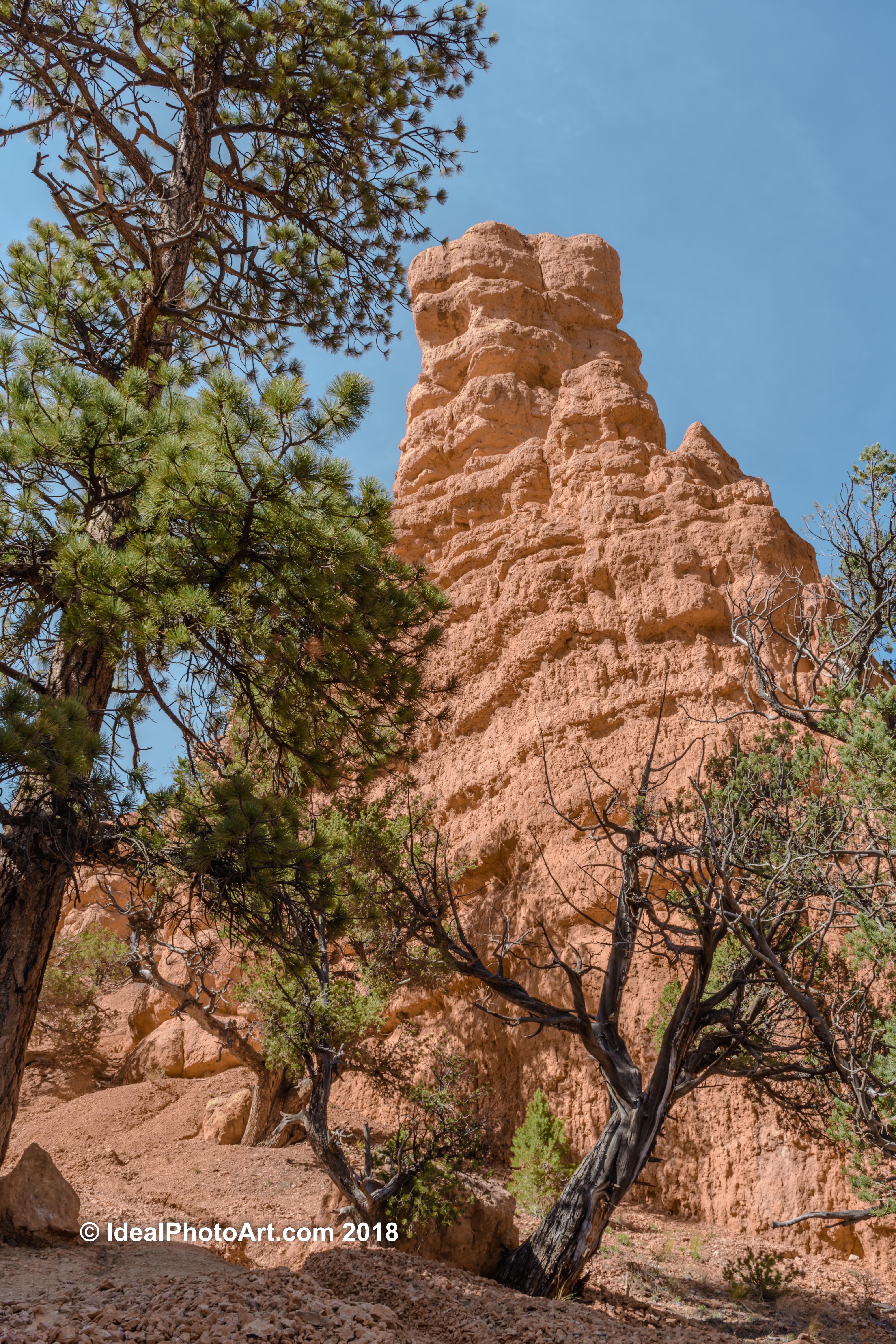 Hiking the Photo Trail Red Canyon Utah USA