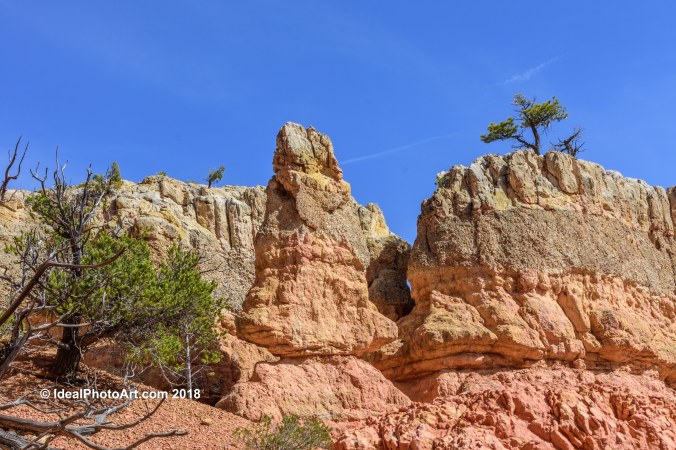 Hoodoo's along the Photo Trail, Red Canyon, Utah USA