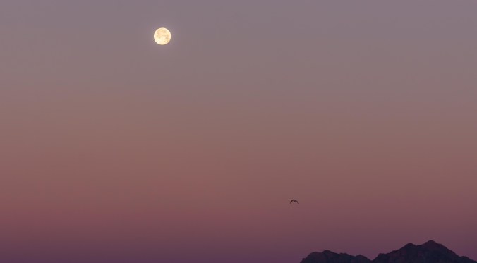 2001 Balloon Festival-