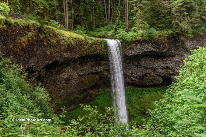 2006Silver Falls SP Oregon-4183