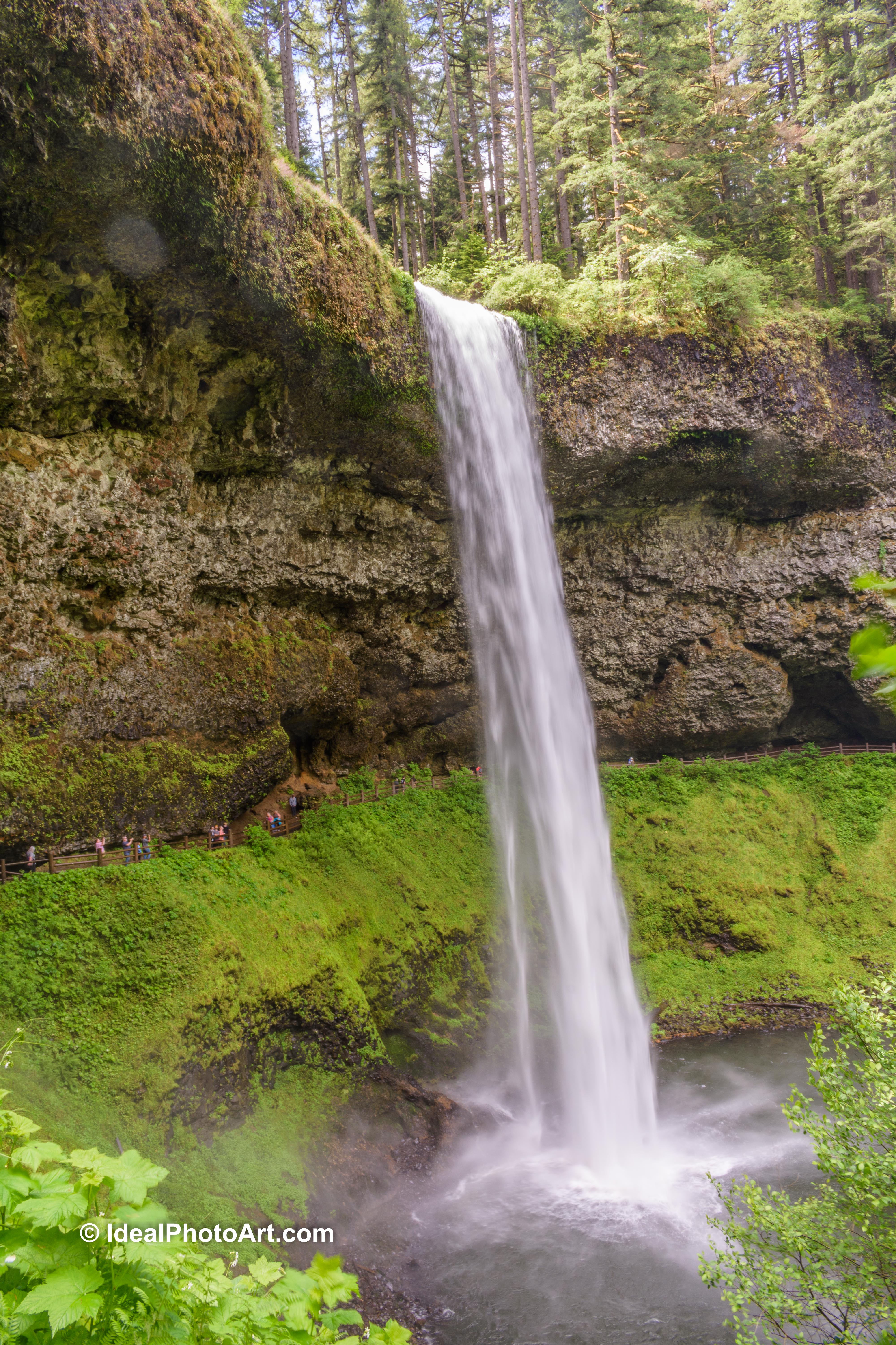 2006Silver Falls SP Oregon-4219