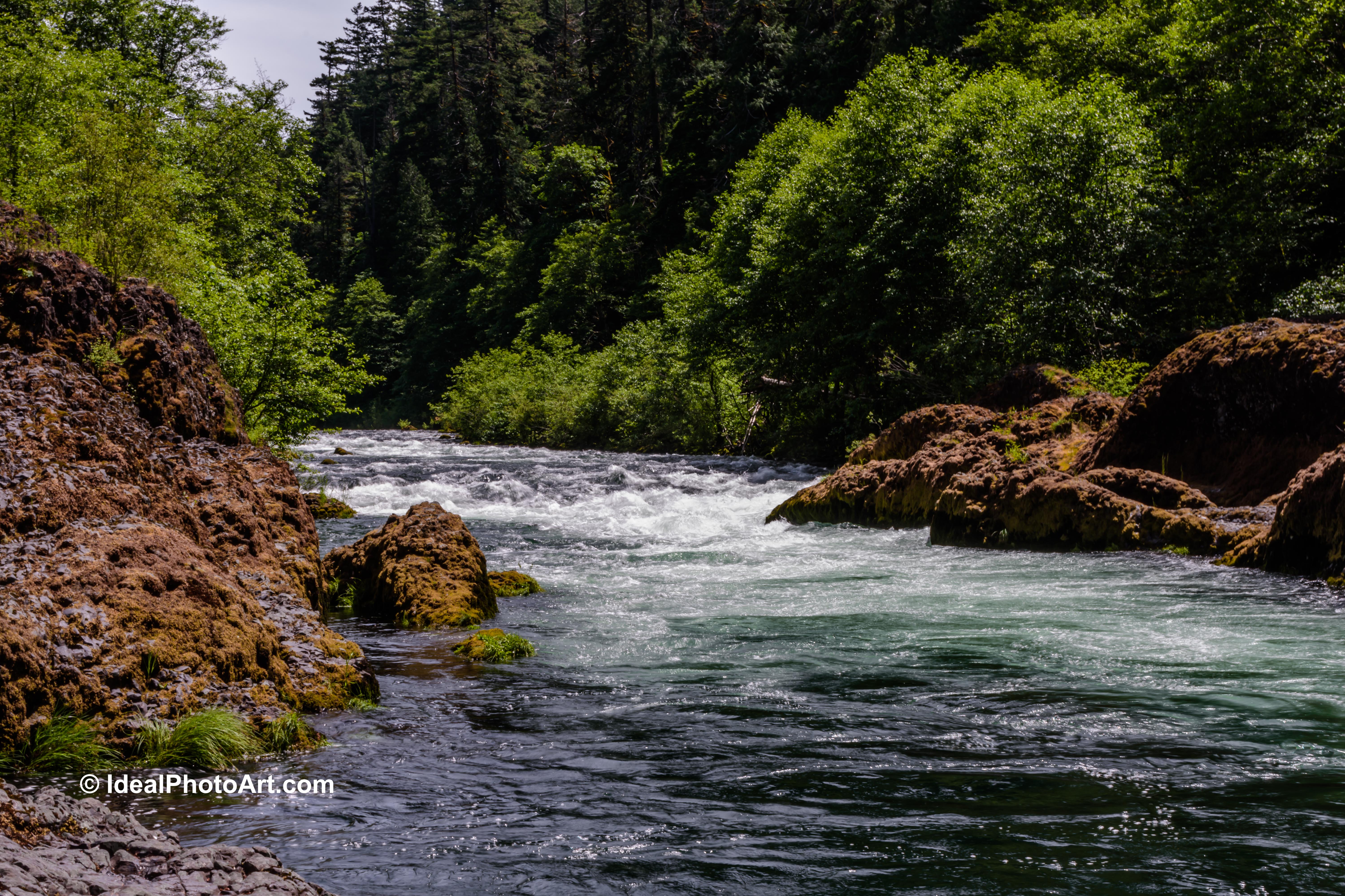 Clackamas River in MT Hood National Forest.