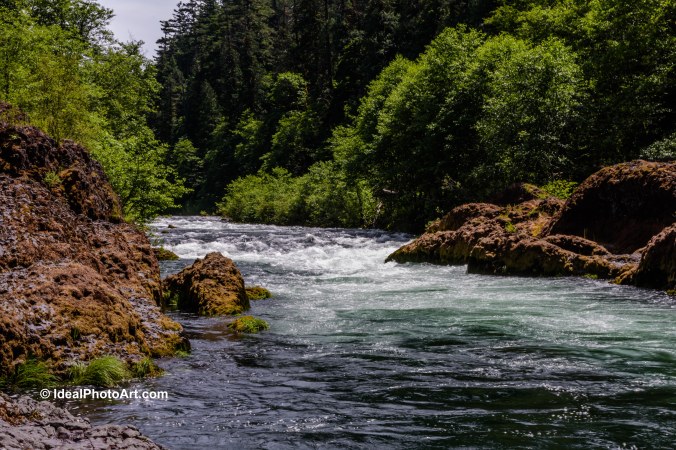 Clackamas River in MT Hood National Forest.